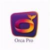 Abonnement Orca Pro 12 mois